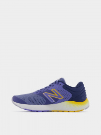 Кросівки New Balance 520 модель W520HB7 Фото