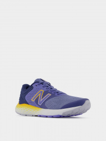 Кросівки New Balance 520 модель W520HB7 Фото