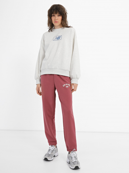 Худи и свитшоты New Balance Essentials Brushed модель WT33528SAH Фото