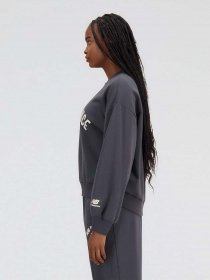 Худі та світшоти New Balance Essentials Varsity модель WT33553ACK Фото