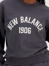 Худі та світшоти New Balance Essentials Varsity модель WT33553ACK Фото