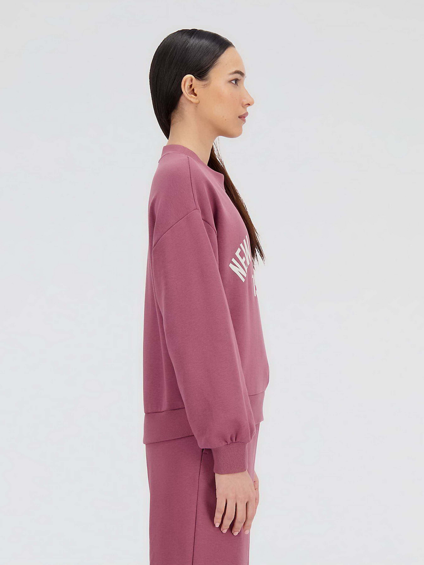 Худі та світшоти New Balance Essentials Varsity модель WT33553WAD Фото