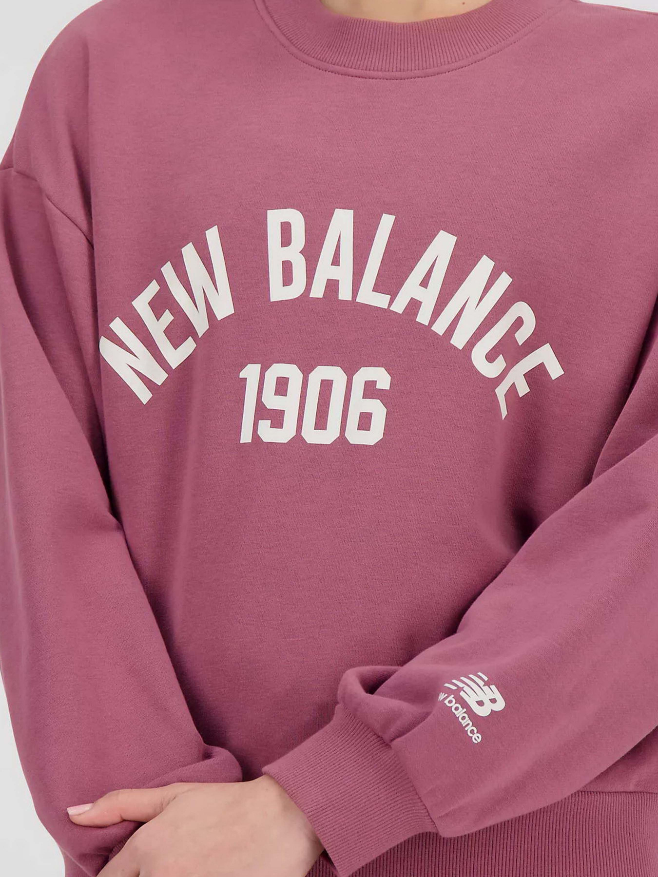 Худі та світшоти New Balance Essentials Varsity модель WT33553WAD Фото