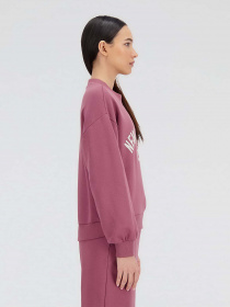 Худі та світшоти New Balance Essentials Varsity модель WT33553WAD Фото