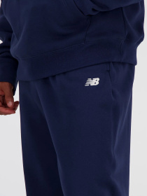 Штани New Balance SMALL LOGO модель MP41519NNY Фото