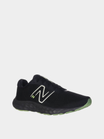 Кросівки New Balance 520 V8 модель M520GK8 Фото