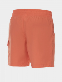 Шорти New Balance Athletics Day Tripper модель MS21551RCL Фото