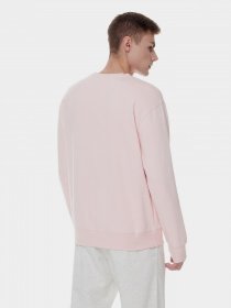 Худі та світшоти New Balance Essentials модель UT21501PIE Фото