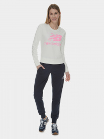 Худі та світшоти New Balance Essentials Pullover модель WT03551SST Фото