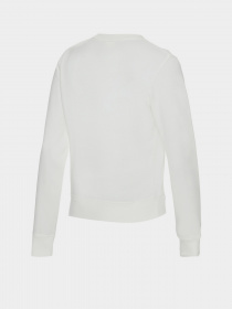 Худі та світшоти New Balance Essentials Pullover модель WT03551SST Фото