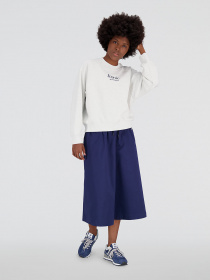 Худі та світшоти New Balance Athletics Icono-Graphic модель WT31557SAH Фото