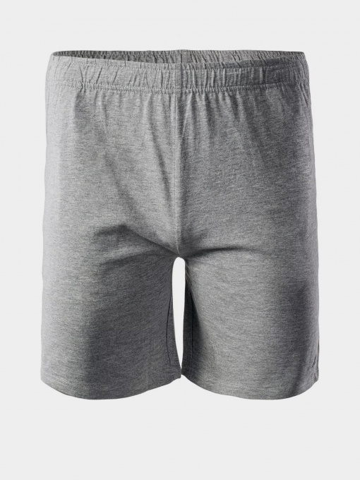 Шорти Martes Essentials модель MOEN-MEDIUM GREY MELANGE Фото