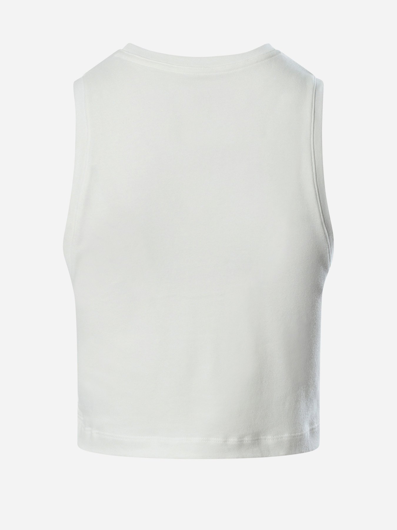 Одяг для дому та сну The North Face Coordinates Tank модель NF0A55V2FN41 Фото