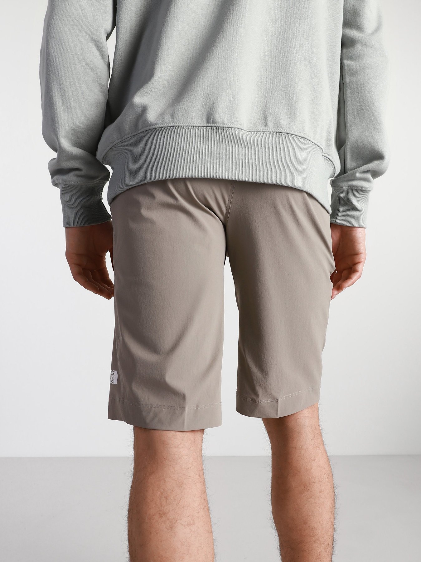 Шорты The North Face Speedlight модель NF00A8SFVQ81 Фото
