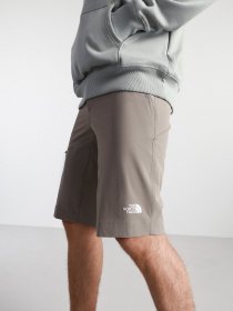 Шорты The North Face Speedlight модель NF00A8SFVQ81 Фото