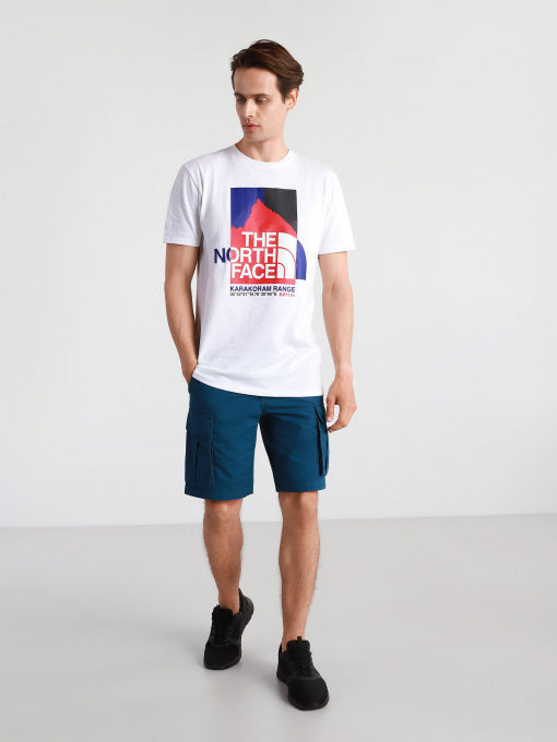 Шорты The North Face Anticline модель NF0A55B6BH71 Фото