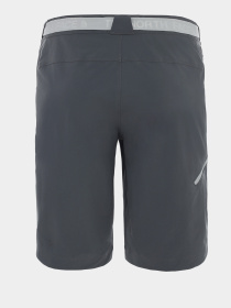 Шорты The North Face Speedlight модель NF00A8SKPX21 Фото