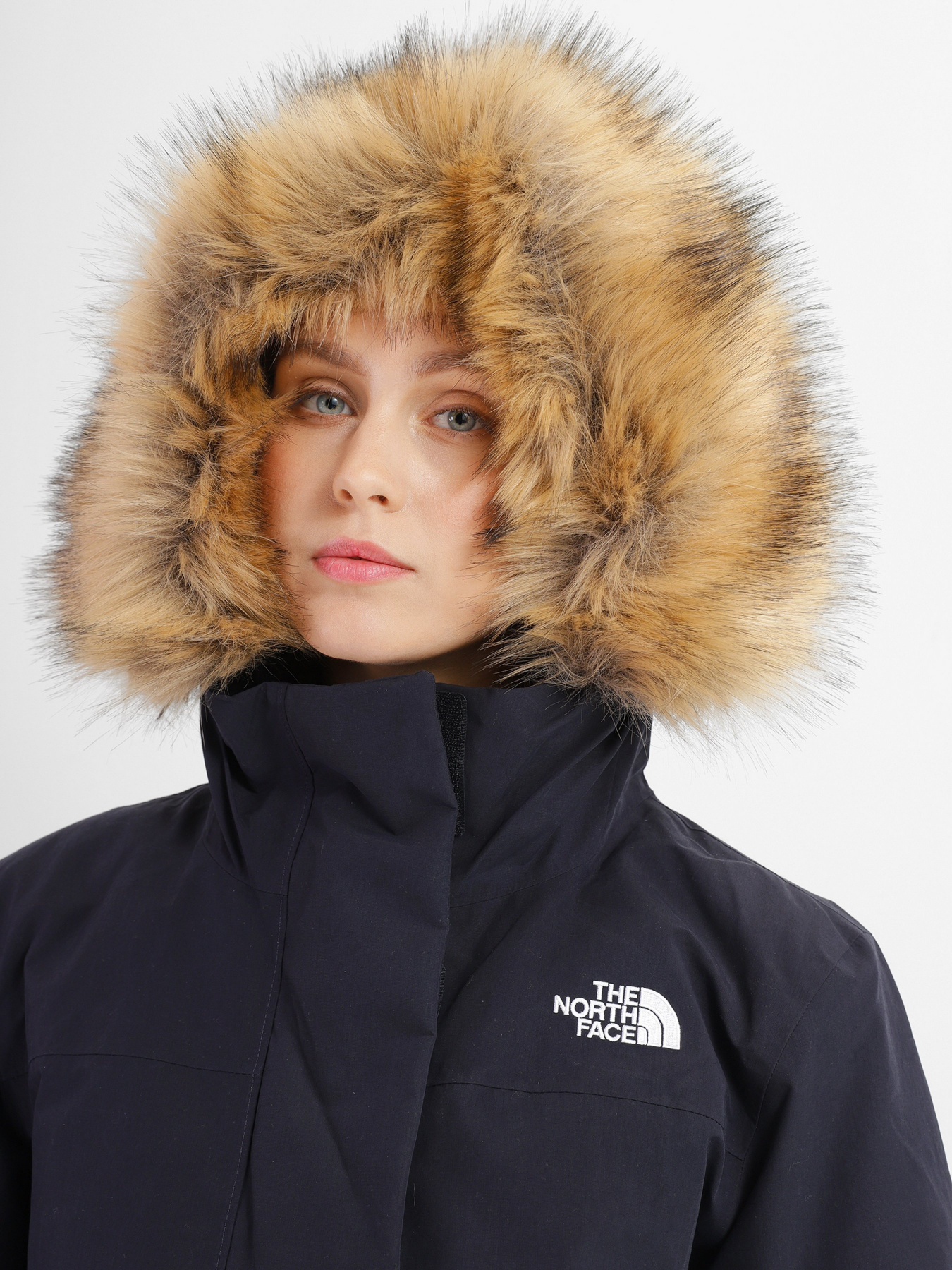 Куртки та дублянки The North Face Arctic модель NF0A4R2VRG11 Фото