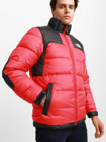 Куртки та дублянки The North Face Black Box Insulated Jacket модель NF0A5IC56821 Фото