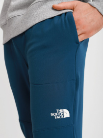 Штани The North Face Tekware® модель NF0A5GFMBH71 Фото