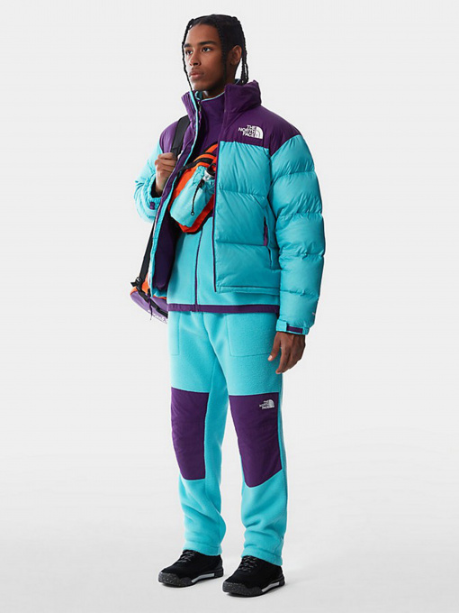 Куртки та дублянки The North Face Retro Nuptse 1996 модель NF0A3C8D25D1 Фото
