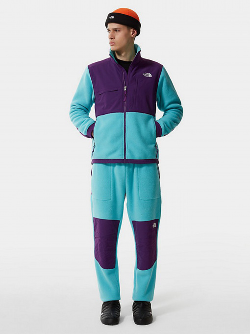 Худи и свитшоты The North Face Denali 2 модель NF0A4QYJ25D1 Фото