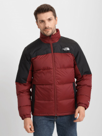 Куртки та дублянки The North Face Diablo Down модель NF0A4M9J11R1 Фото