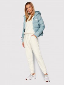 Куртки и дубленки The North Face Hyalite Down модель NF0A3Y4RBDT1 Фото