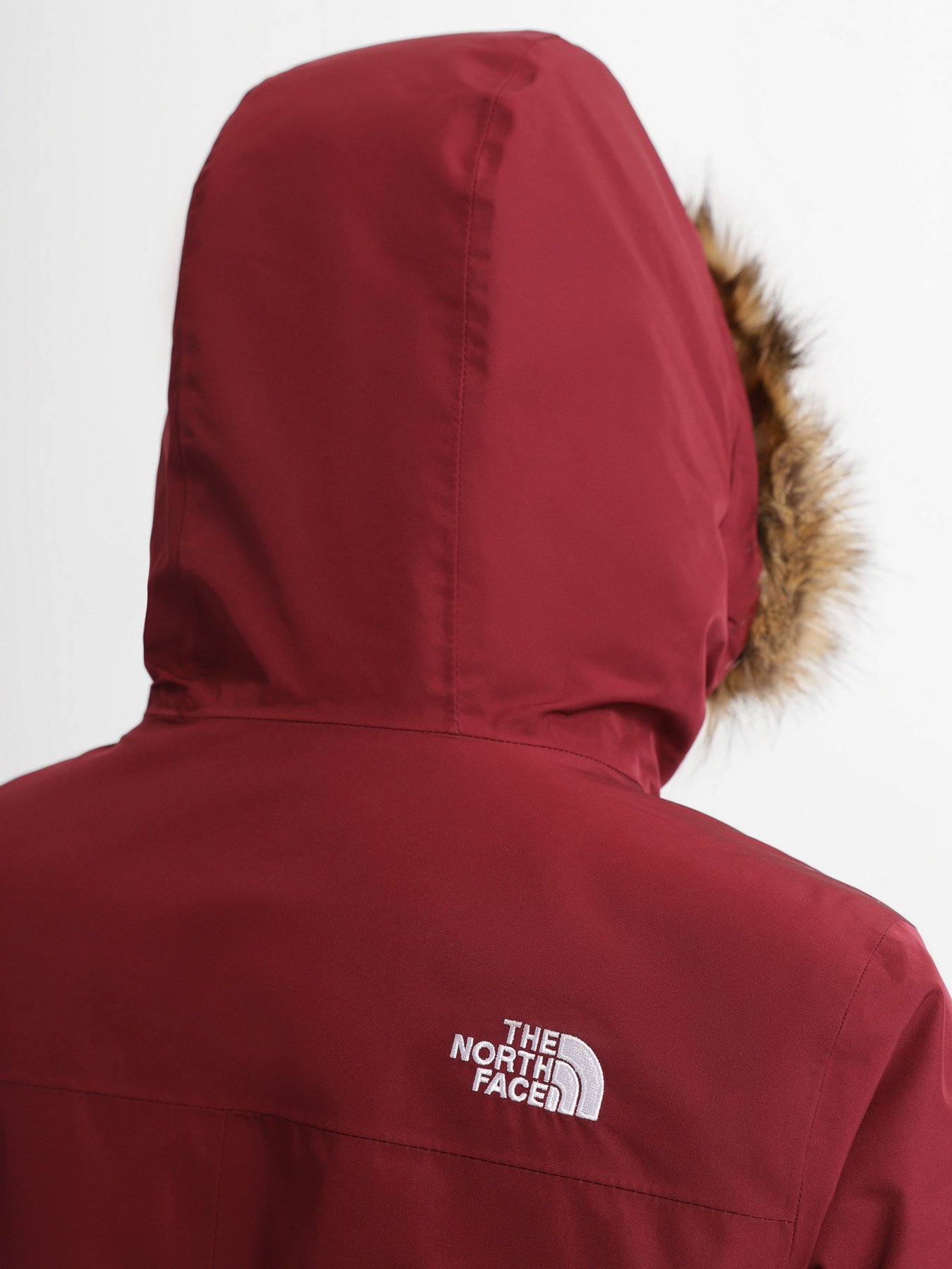 Куртки та дублянки The North Face Zaneck Parka модель NF0A4M8YD4S1 Фото