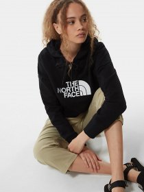 Худи и свитшоты The North Face Drew Peak модель NF0A55ECJK31 Фото