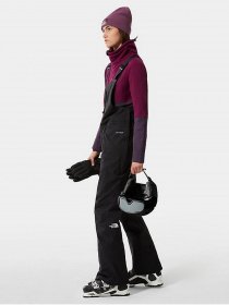 Комбинезоны The North Face Freedom Bib модель NF0A5GM4JK31 Фото