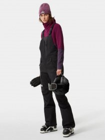Комбинезоны The North Face Freedom Bib модель NF0A5GM4JK31 Фото