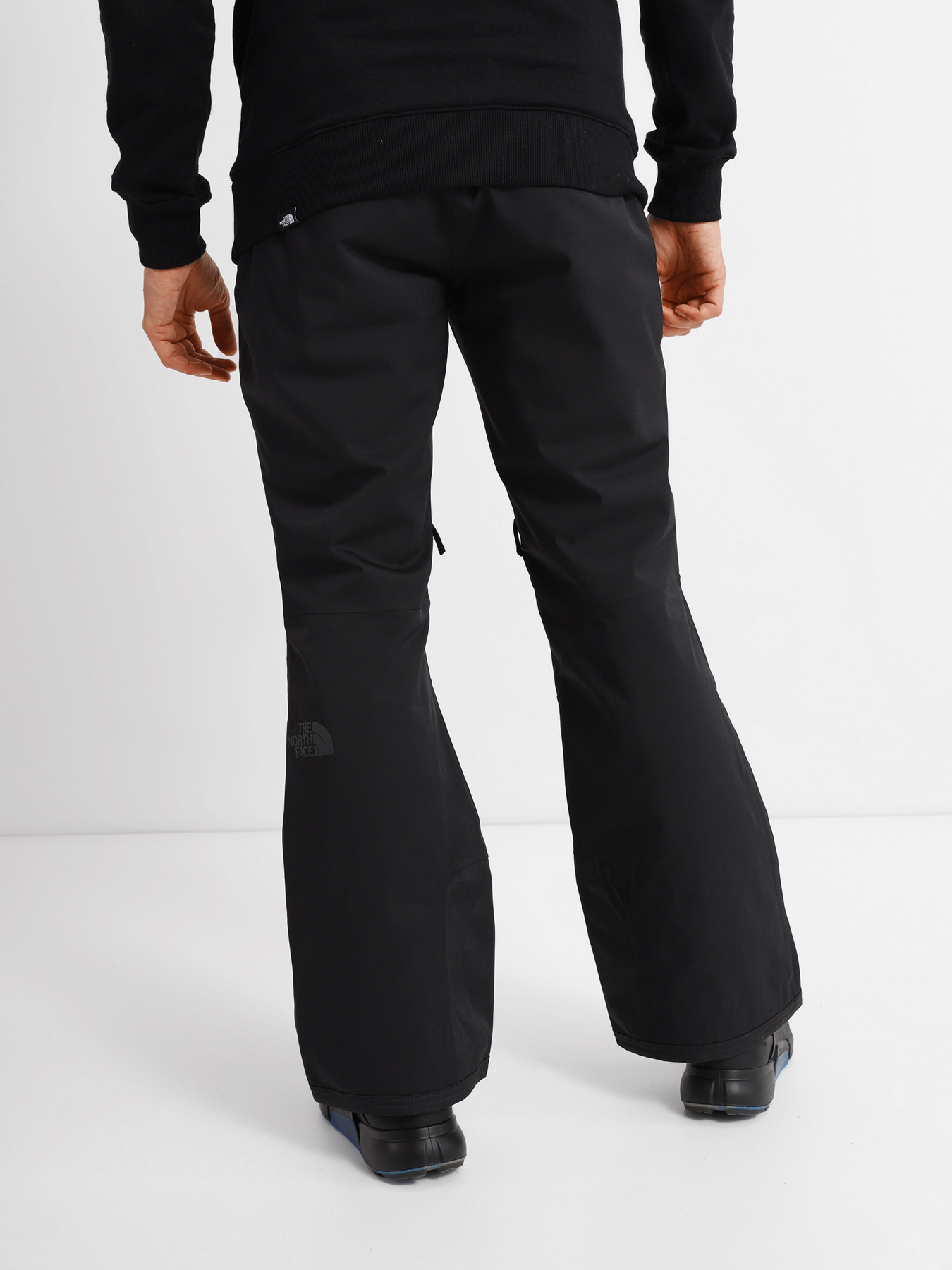 Брюки The North Face Chakal модель NF0A5IYVJK31 Фото