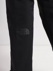 Брюки The North Face Chakal модель NF0A5IYVJK31 Фото