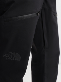 Брюки The North Face Chakal модель NF0A5IYVJK31 Фото