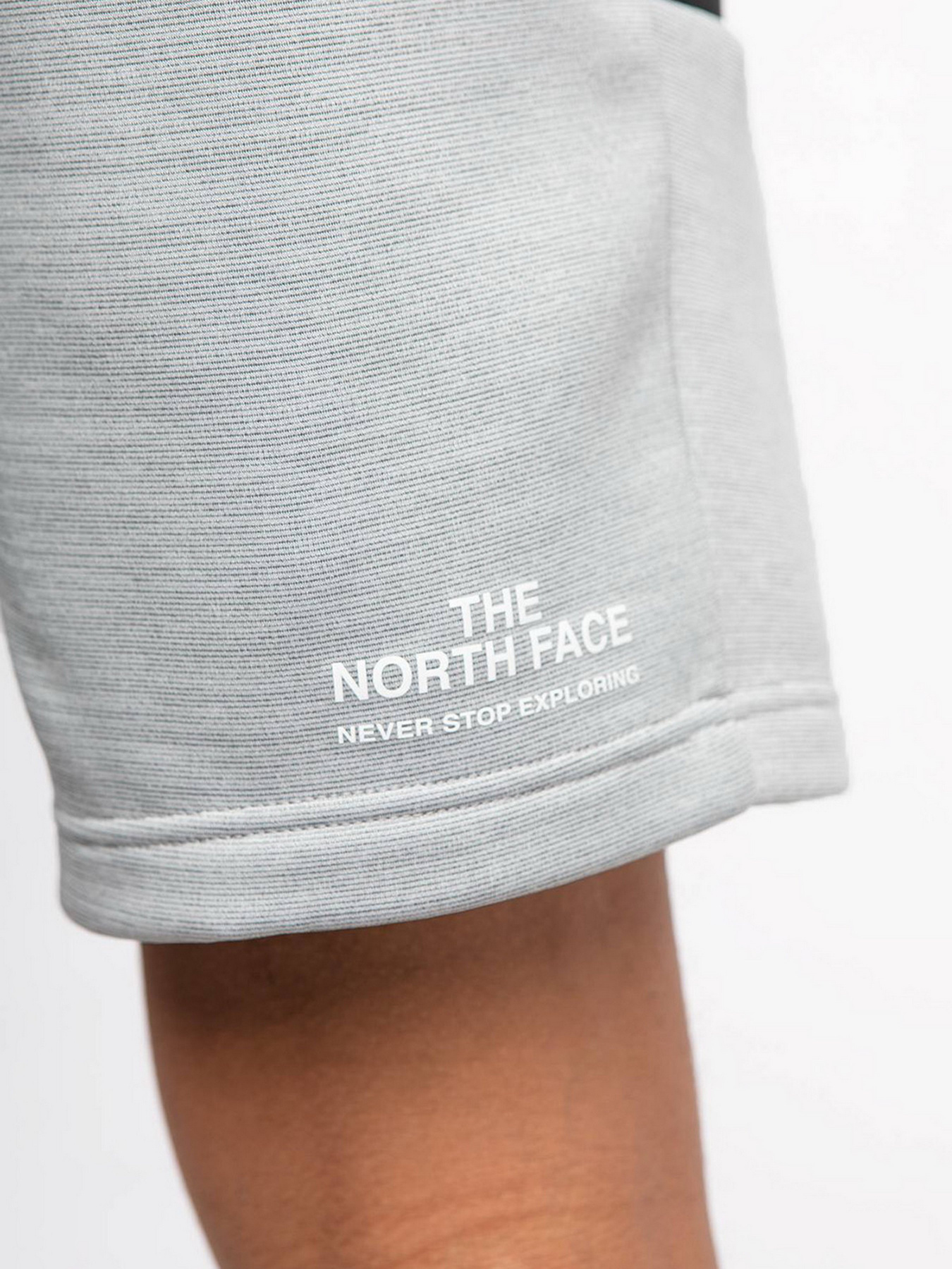 Шорти The North Face Ma Fleece модель NF0A5IEXGAU1 Фото