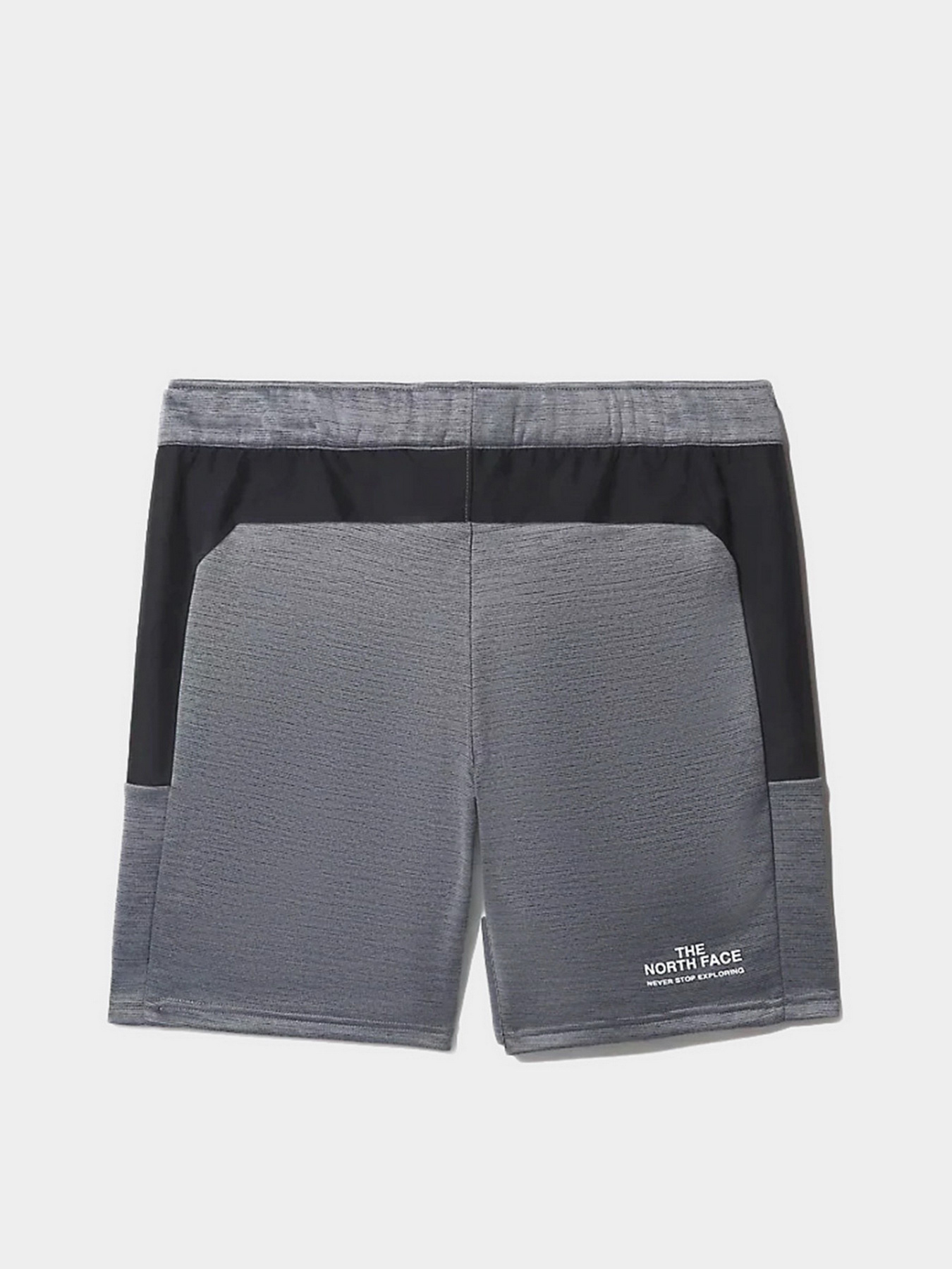 Шорти The North Face Ma Fleece модель NF0A5IEXGAU1 Фото