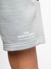 Шорти The North Face Ma Fleece модель NF0A5IEXGAU1 Фото