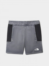 Шорти The North Face Ma Fleece модель NF0A5IEXGAU1 Фото