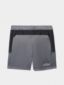 Шорти The North Face Ma Fleece модель NF0A5IEXGAU1 Фото