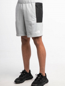 Шорти The North Face Ma Fleece модель NF0A5IEXGAU1 Фото