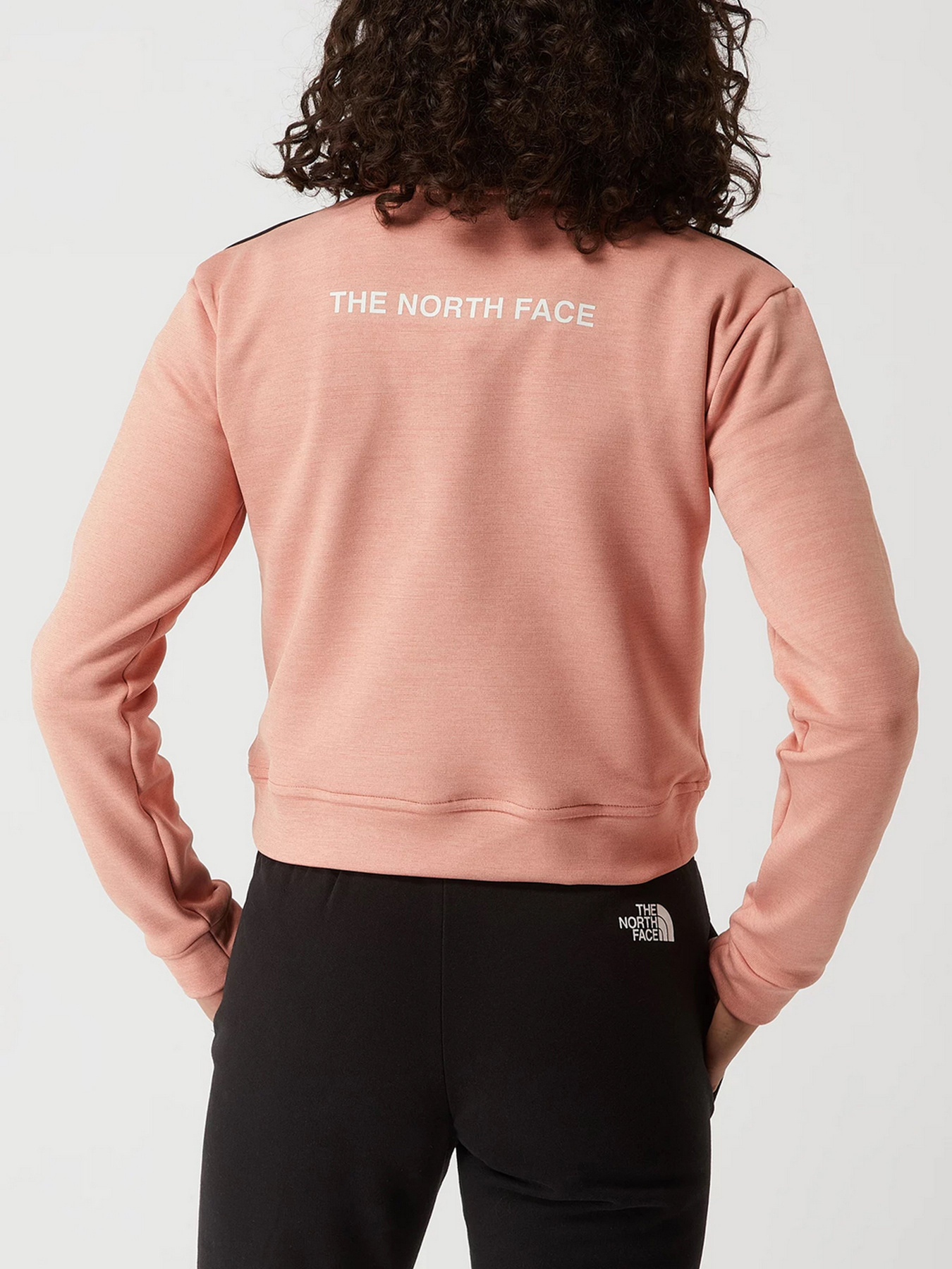 Худі та світшоти The North Face Ma 1/4 Zip Fleece модель NF0A5IEZ5W21 Худі та світшоти The North Face Ma 1/4 Zip Fleece модель NF0A5IEZ5W21 Фото