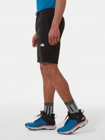 Шорти The North Face Lightning модель NF0A495OJK31 Фото