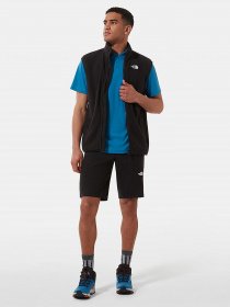Шорти The North Face Lightning модель NF0A495OJK31 Фото
