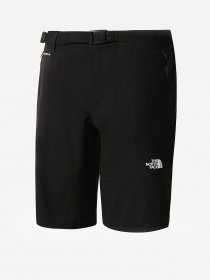 Шорти The North Face Lightning модель NF0A495OJK31 Фото