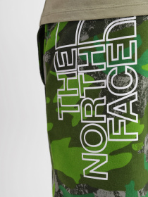 Шорти The North Face GRAPHIC SHORT LIGHT модель NF0A3S4F52H1 Фото