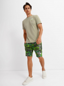 Шорти The North Face GRAPHIC SHORT LIGHT модель NF0A3S4F52H1 Фото