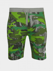 Шорти The North Face GRAPHIC SHORT LIGHT модель NF0A3S4F52H1 Фото