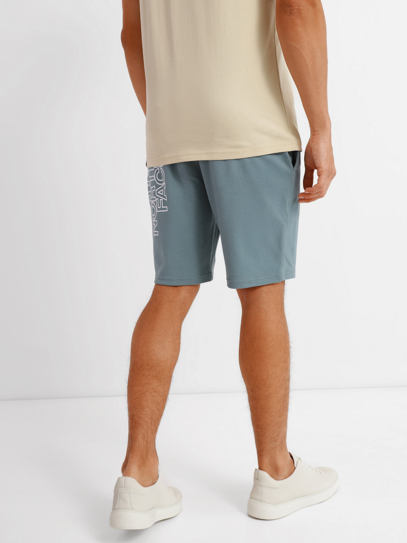 Шорти The North Face GRAPHIC SHORT LIGHT модель NF0A3S4FA9L1 Шорти The North Face GRAPHIC SHORT LIGHT модель NF0A3S4FA9L1 Фото