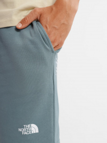 Шорти The North Face GRAPHIC SHORT LIGHT модель NF0A3S4FA9L1 Фото
